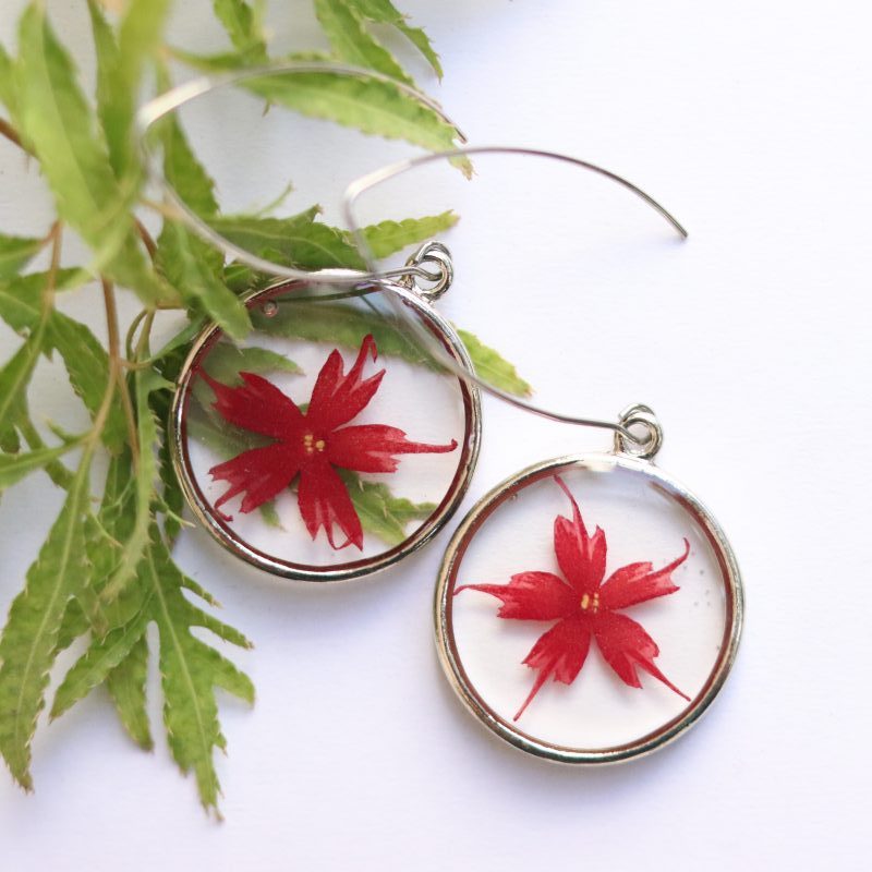 Red Phlox Preserved in Round Brass (polished silver) Earrings