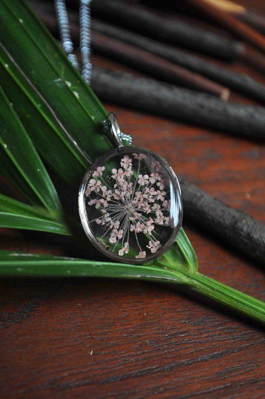 Minutiae Series - Soft Pink Queen Anne's Lace in Oval frame