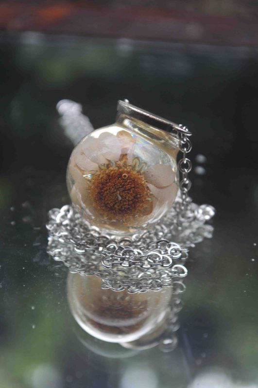 White Daisy Amulet Glass Globe Necklace