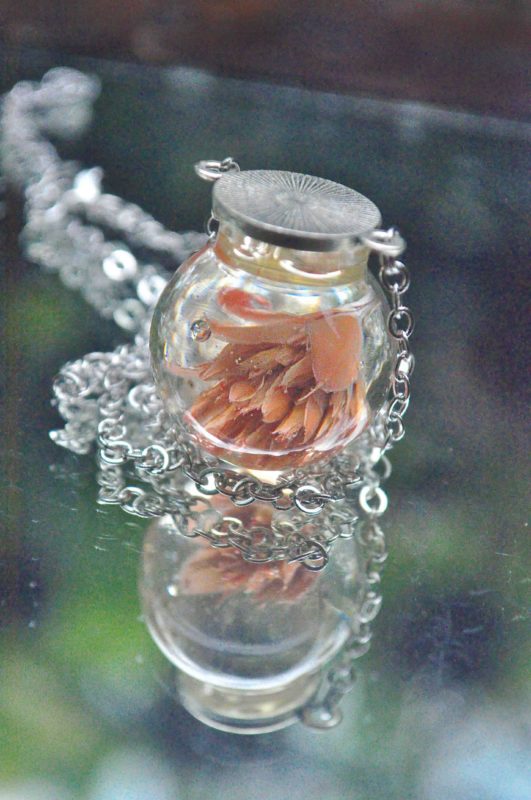 Aged Pale Peach Gomphrena Amulet Glass Globe Necklace - Loop on Top