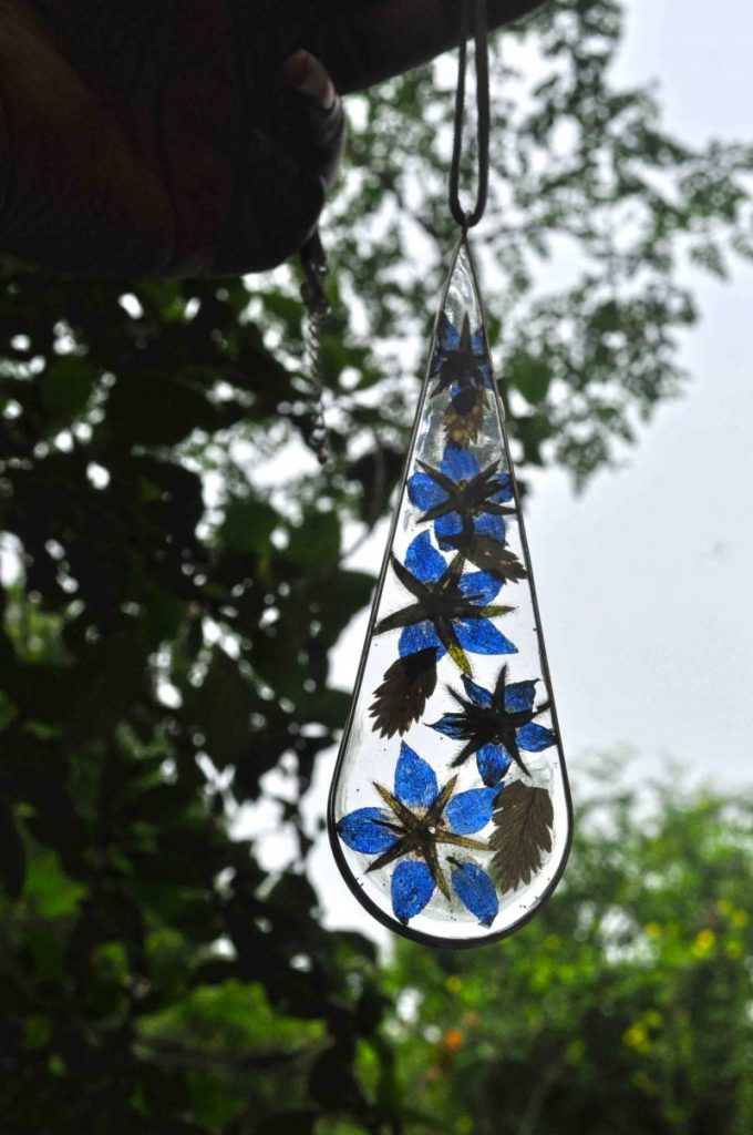 Electric Blue Himalayan Gentian in a Tear Drop Shaped Frame