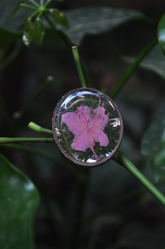 Rhododendron Ring