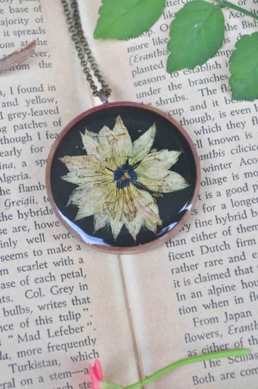 Love in a Mist Medallion