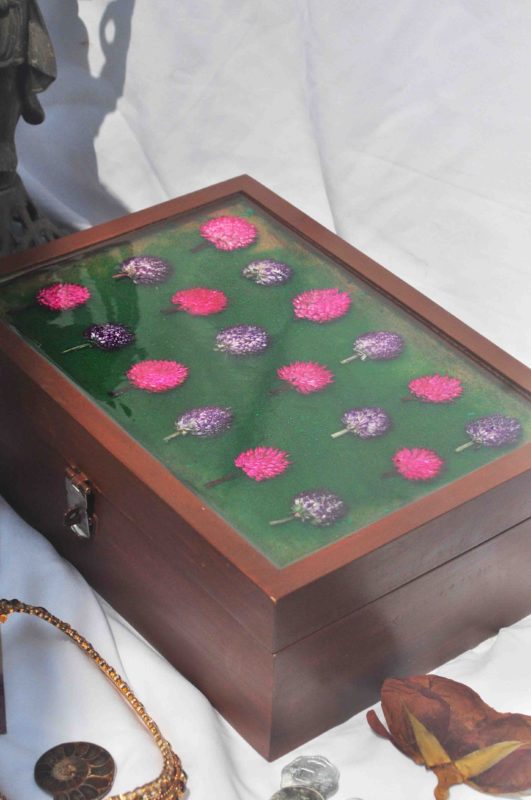 Pink and Purple Globe Amaranth Memory / Jewellery / Heirloom Box in Pacific Rosewood